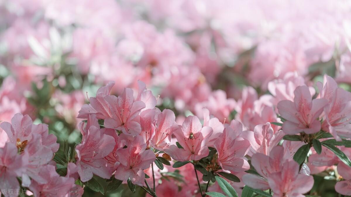 水雷屯卦是吉卦吗_六十四卦全是字_卦身与卦宫是一样吗