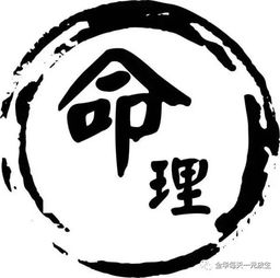 梅花易数断卦实例精解_李洪成六爻卦例精解_六十四卦怎么画的