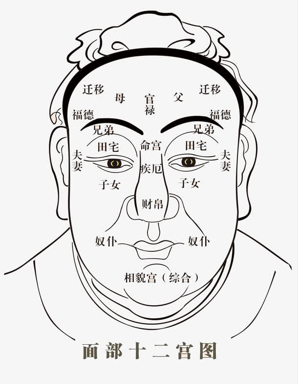 周易免费算命测运势软件_算命易经测运势免费软件大全_易经免费算命测运势软件