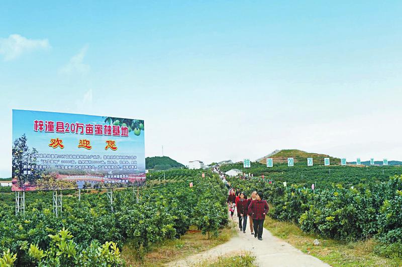 九州志地理图片_地方志在申请地理标志商标_三维标志商标有哪些