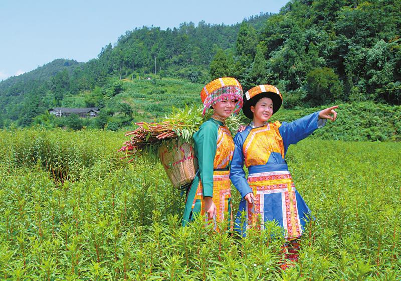 三维标志商标有哪些_九州志地理图片_地方志在申请地理标志商标