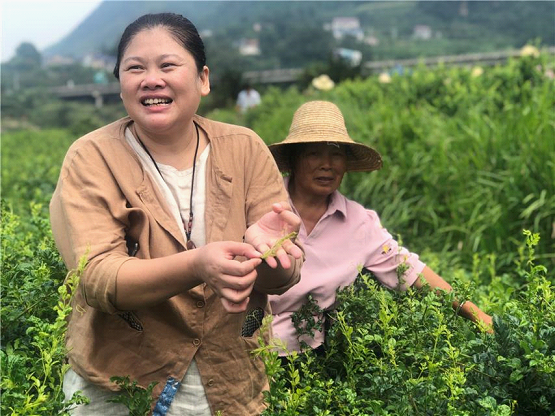 中国绿色食品商标标志_三维标志商标有哪些_地方志在申请地理标志商标