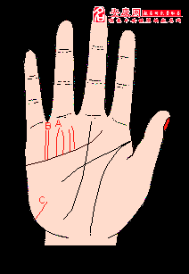 手相 太阳线或成功线图解