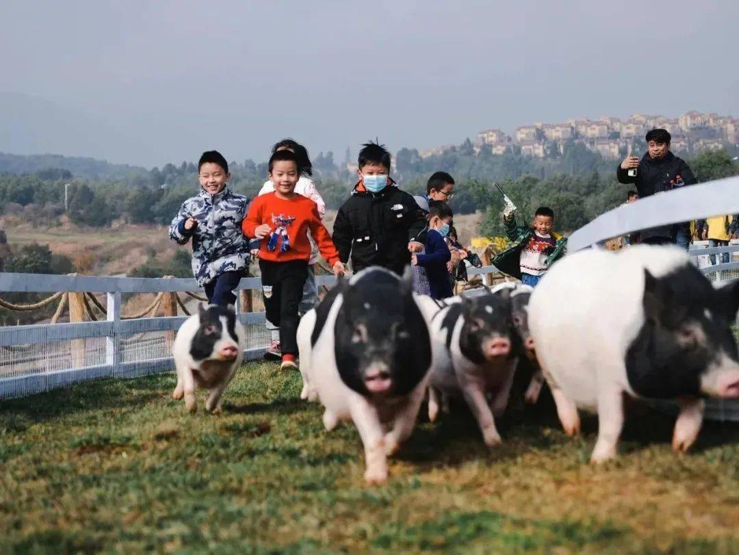 昆明的过年民俗文化_昆明年俗活动_昆明过年特色