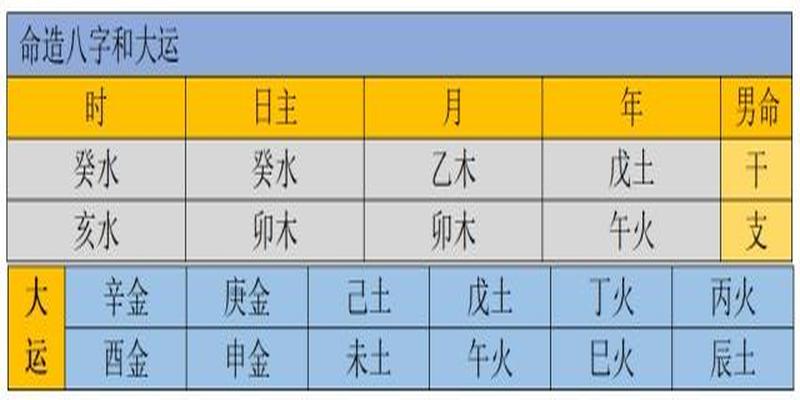 癸辛杂识_癸辛日主的命理_甲午日癸酉时命理