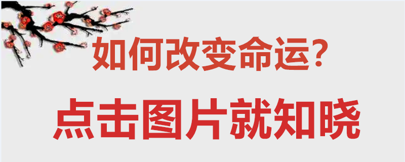 财付通集分宝_命理8分财_财神婆生活命理网址