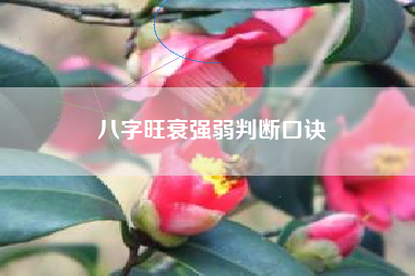 八字旺衰强弱判断口诀