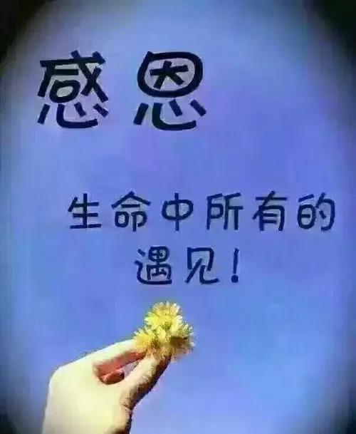 八字十天干详解壬水_子平八字命理壬水_八字壬水日元高大身财的人