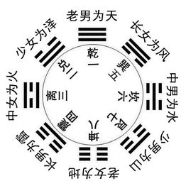 八字紫微免费终身详批