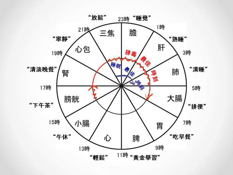 1、十二时辰对照表口诀:天干地支背诵口诀24个字是什么？