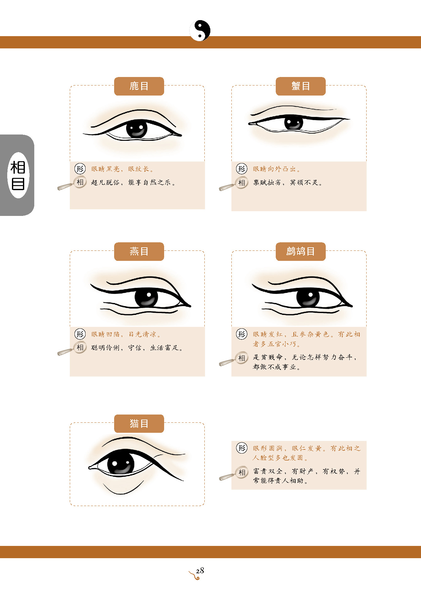 手相面相气_人的手相和面相会变的_人的手相是不是会变