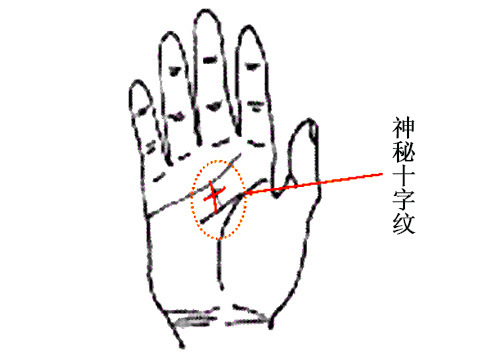 右手有米字纹_右手米字纹手相男人面相_手相有米字纹好不好