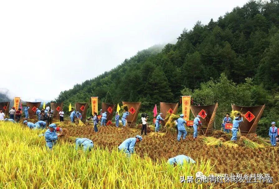 民俗目标文化市场有什么特点_民俗文化市场分析_民俗文化的目标市场有哪些