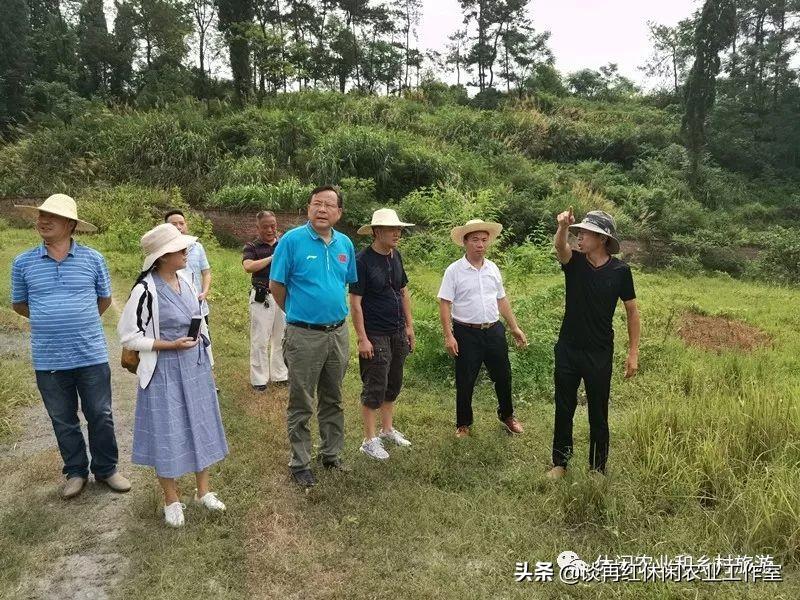 民俗目标文化市场有什么特点_民俗文化的目标市场有哪些_民俗文化市场分析