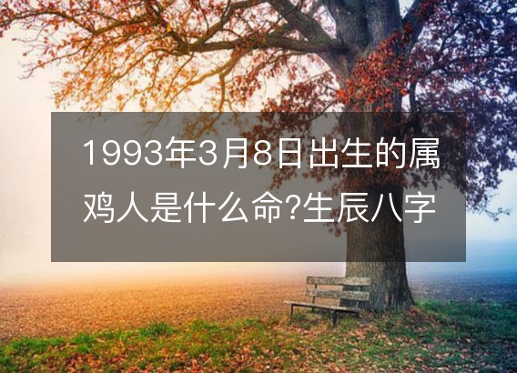 1993年3月8日出生的属鸡人是什么命?生辰八字命运五行